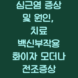심근염 증상 및 원인, 치료 백신부작용 화이자 모더나 전조증상 챕터1