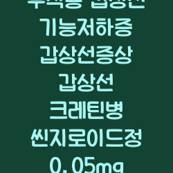씬지로이드 효과 및 부작용 갑상선기능저하증 갑상선증상 갑상선 크레틴병 씬지로이드정 0.05mg 0.1mg 성분 챕터1