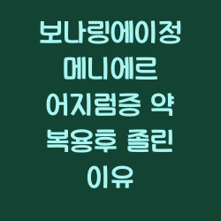 보나링에이정 메니에르 어지럼증 약 복용후 졸린 이유 챕터1