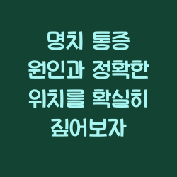 명치 통증 원인과 정확한 위치를 확실히 짚어보자 챕터1