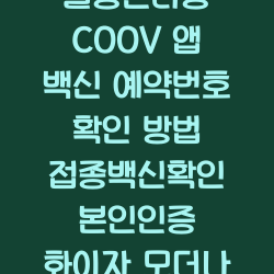 질병관리청 COOV 앱 백신 예약번호 확인 방법 접종백신확인 본인인증 화이자 모더나 챕터1