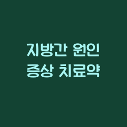 지방간 원인 증상 치료약 챕터1