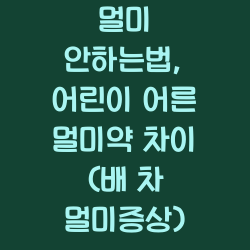 멀미 안하는법, 어린이 어른 멀미약 차이 (배 차 멀미증상) 챕터1
