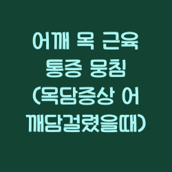 어깨 목 근육 통증 뭉침 (목담증상 어깨담걸렸을때) 챕터1