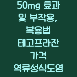 케이캡정 50mg 효과 및 부작용, 복용법 테고프라잔 가격 역류성식도염 효능 챕터1
