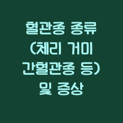 혈관종 종류 (체리 거미 간혈관종 등) 및 증상 챕터1