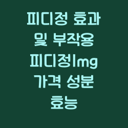 피디정 효과 및 부작용 피디정1mg 가격 성분 효능 챕터1
