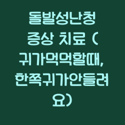 돌발성난청 증상 치료 (귀가먹먹할때, 한쪽귀가안들려요) 챕터1