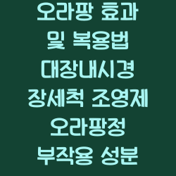 오라팡 효과 및 복용법 대장내시경 장세척 조영제 오라팡정 부작용 성분 챕터1