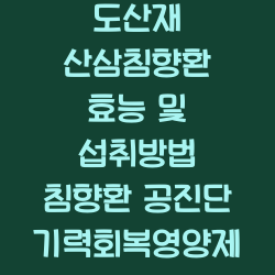도산재 산삼침향환 효능 및 섭취방법 침향환 공진단 기력회복영양제 챕터1