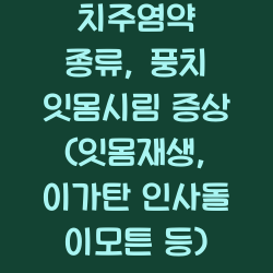 치주염약 종류, 풍치 잇몸시림 증상 (잇몸재생, 이가탄 인사돌 이모튼 등) 챕터1