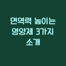 면역력 높이는 영양제 3가지 소개 챕터1