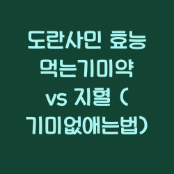 도란사민 효능 먹는기미약 vs 지혈 (기미없애는법) 챕터1