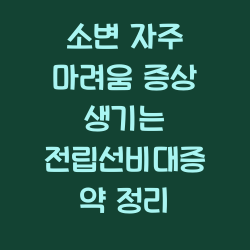 소변 자주 마려움 증상 생기는 전립선비대증 약 정리 챕터1