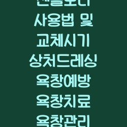 알레빈 젠틀보더 사용법 및 교체시기 상처드레싱 욕창예방 욕창치료 욕창관리 상처연구소 챕터1