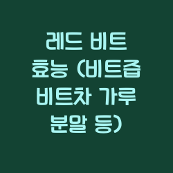 레드 비트 효능 (비트즙 비트차 가루 분말 등) 챕터1