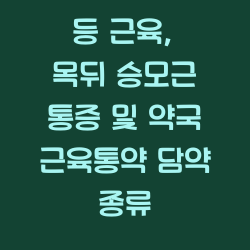 등 근육, 목뒤 승모근 통증 및 약국 근육통약 담약 종류 챕터1