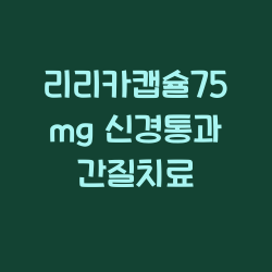 리리카캡슐75mg 신경통과 간질치료 챕터1