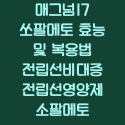 매그넘17 쏘팔메토 효능 및 복용법 전립선비대증 전립선영양제 소팔메토 챕터1