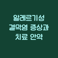 알레르기성 결막염 증상과 치료 안약 챕터1