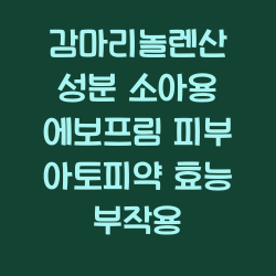 감마리놀렌산 성분 소아용 에보프림 피부 아토피약 효능 부작용 챕터1