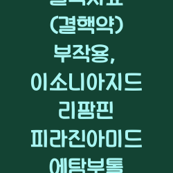 결핵치료 (결핵약) 부작용, 이소니아지드 리팜핀 피라진아미드 에탐부톨 챕터1