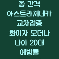 아스트라제네카 부작용ㆍ2차접종 간격 아스트라제네카 교차접종 화이자 모더나 나이 20대 예방률 코로나19 백신 챕터1