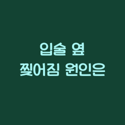입술 옆 찢어짐 원인은 챕터1