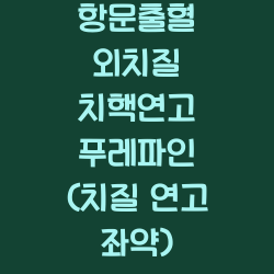 항문출혈 외치질 치핵연고 푸레파인 (치질 연고 좌약) 챕터1