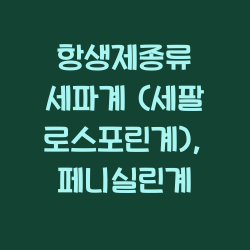 항생제종류 세파계 (세팔로스포린계), 페니실린계 챕터1