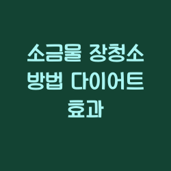 소금물 장청소 방법 다이어트 효과 챕터1
