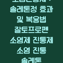 소염진통제 : 솔레톤정 효과 및 복용법 잘토프로펜 소염제 진통제 소염 진통 솔레톤 챕터1