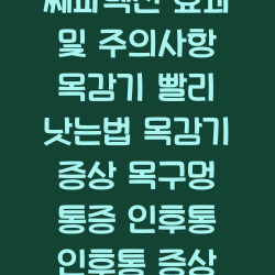 목감기 약 : 쎄파렉신 효과 및 주의사항 목감기 빨리 낫는법 목감기 증상 목구멍 통증 인후통 인후통 증상 인후통 약 챕터1