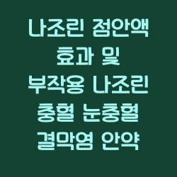 나조린 점안액 효과 및 부작용 나조린 충혈 눈충혈 결막염 안약 챕터1