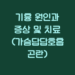 기흉 원인과 증상 및 치료 (가슴답답호흡곤란) 챕터1