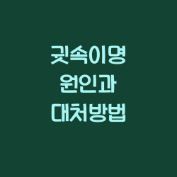 귓속이명 원인과 대처방법 챕터1