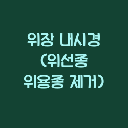 위장 내시경 (위선종 위용종 제거) 챕터1