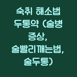 숙취 해소법 두통약 (술병 증상, 술빨리깨는법, 술두통) 챕터1
