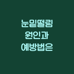 눈밑떨림 원인과 예방법은 챕터1