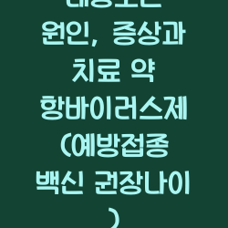 대상포진 원인, 증상과 치료 약 항바이러스제 (예방접종 백신 권장나이 ) 챕터1