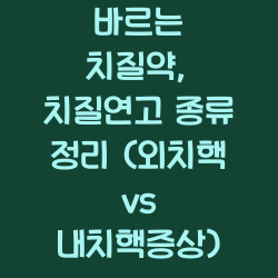 바르는 치질약, 치질연고 종류 정리 (외치핵 vs 내치핵증상) 챕터1